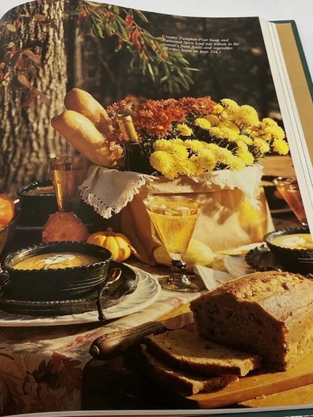 Vintage Southern Living 1992 Annual Recipes Hardcover Cookbook Oxmoor House